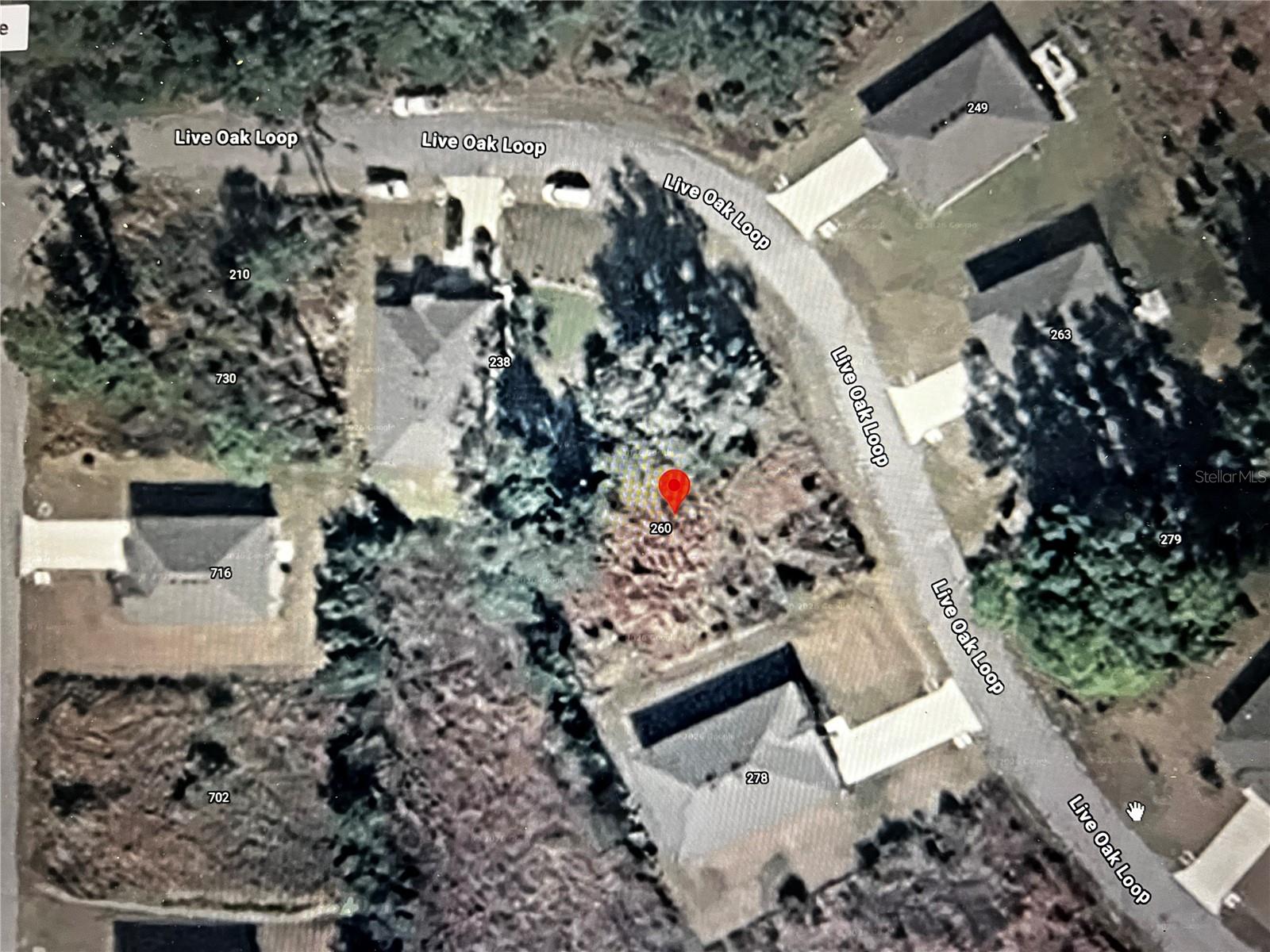 260 LIVE OAK LOOP, CRESCENT CITY, FL — photo 5