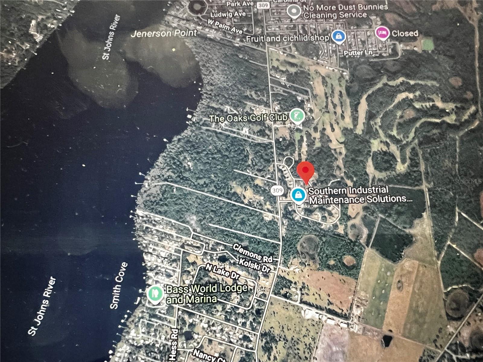 260 LIVE OAK LOOP, CRESCENT CITY, FL — photo 9