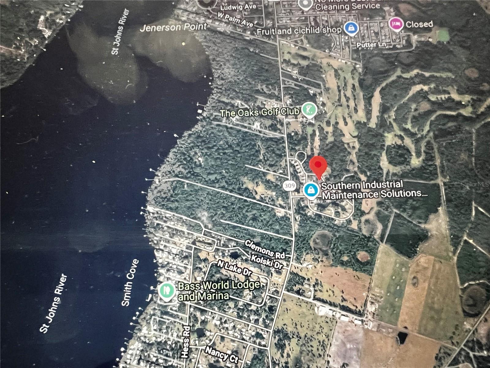 260 LIVE OAK LOOP, CRESCENT CITY, FL — photo 10