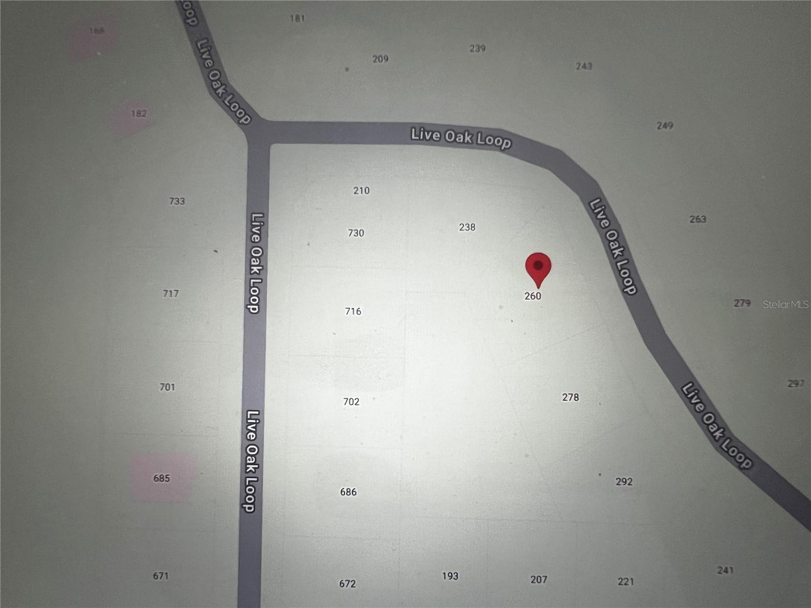 260 LIVE OAK LOOP, CRESCENT CITY, FL — photo 11