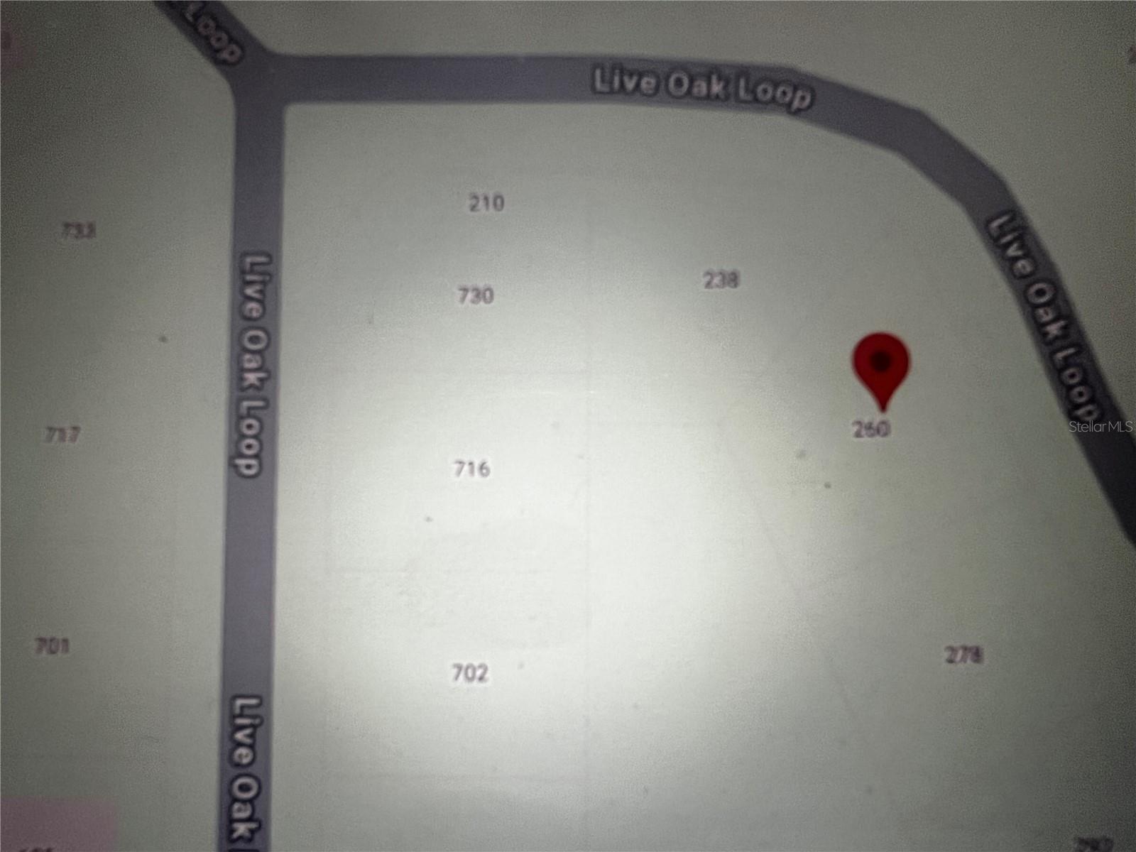 260 LIVE OAK LOOP, CRESCENT CITY, FL — photo 12