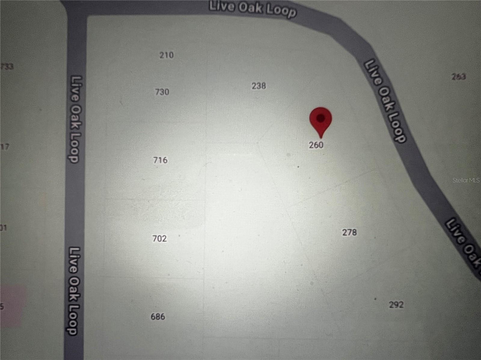 260 LIVE OAK LOOP, CRESCENT CITY, FL — photo 13