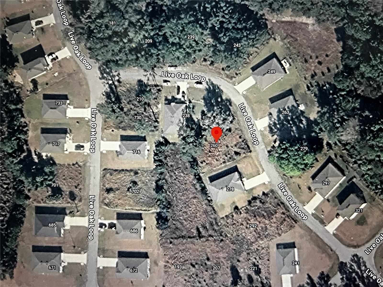 260 LIVE OAK LOOP, CRESCENT CITY, FL — photo 15