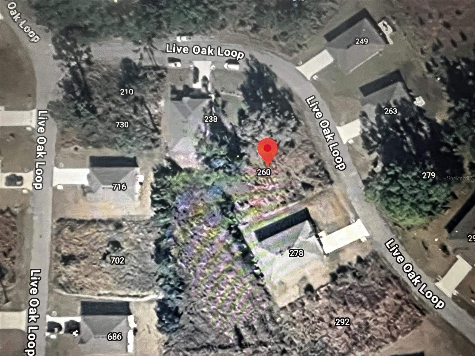 260 LIVE OAK LOOP, CRESCENT CITY, FL — photo 16