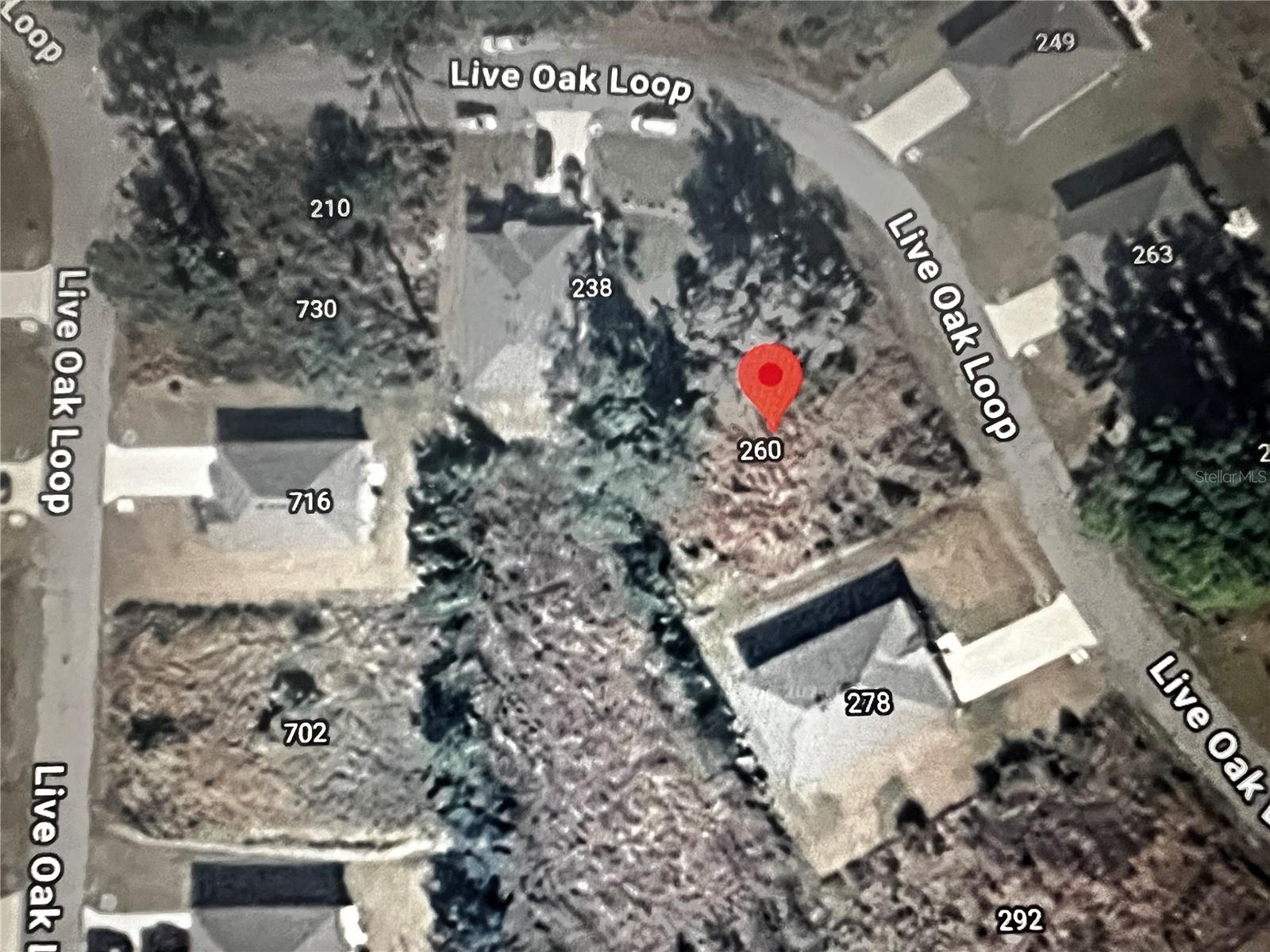 260 LIVE OAK LOOP, CRESCENT CITY, FL — photo 17