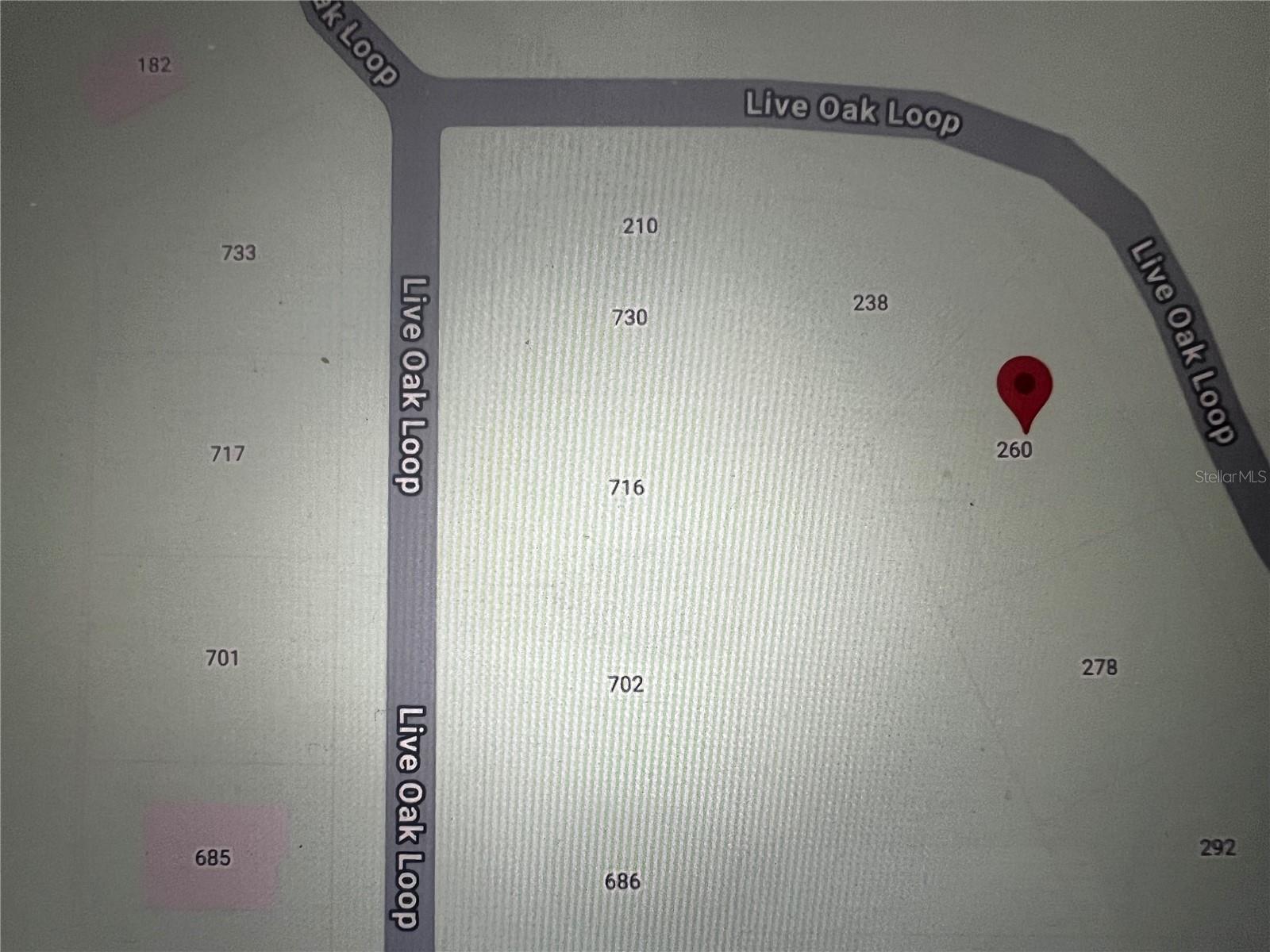 260 LIVE OAK LOOP, CRESCENT CITY, FL — photo 18