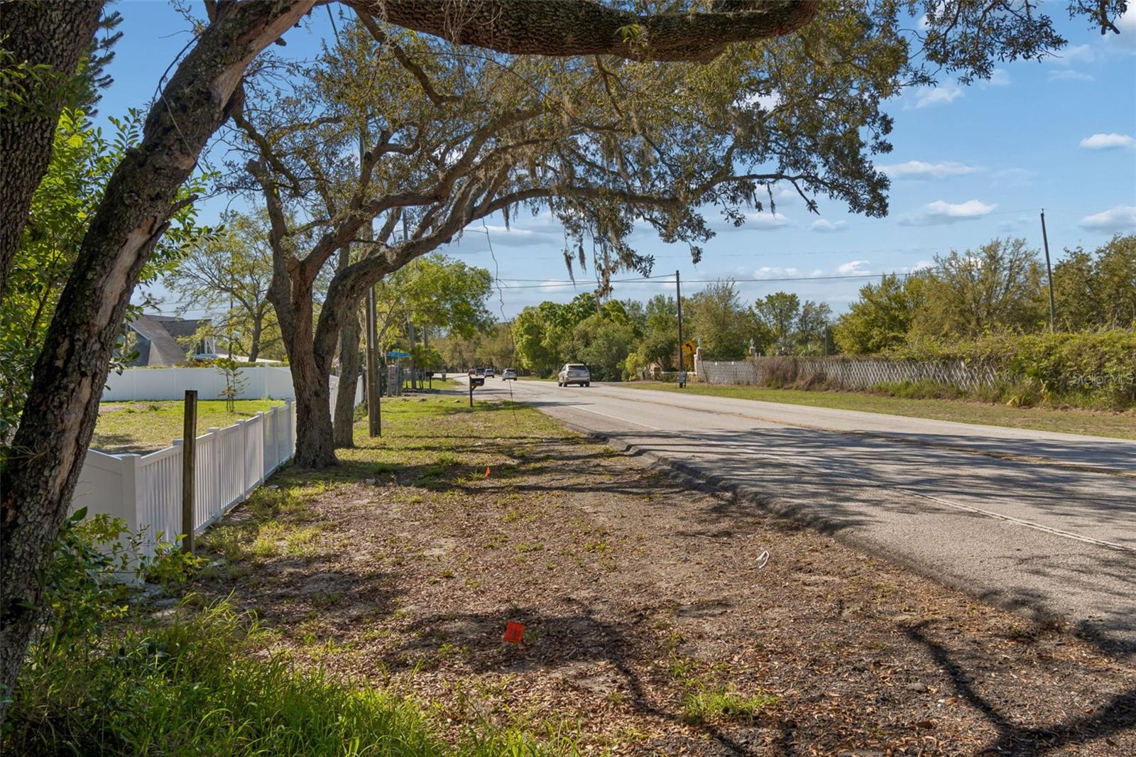 8715 BROOKE ANGELA DR, ODESSA, FL — photo 12