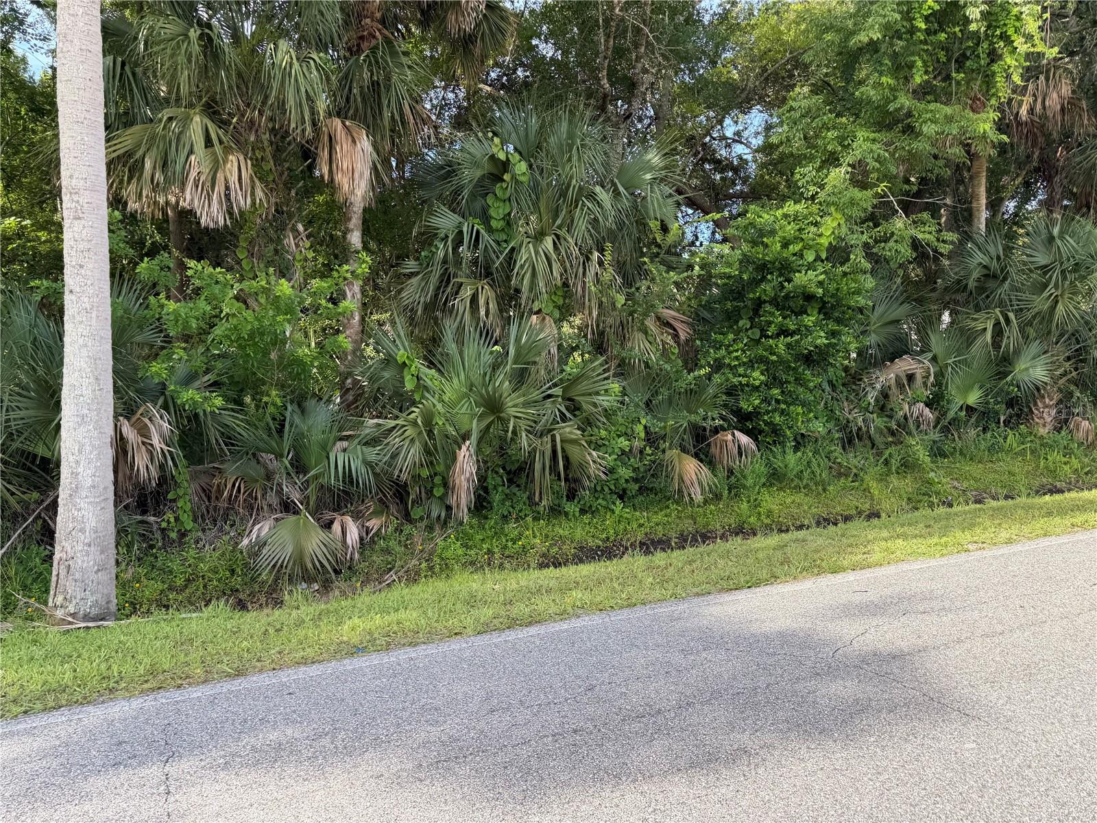 1400 ENTERPRISE AVE, NEW SMYRNA BEACH, FL — photo 2