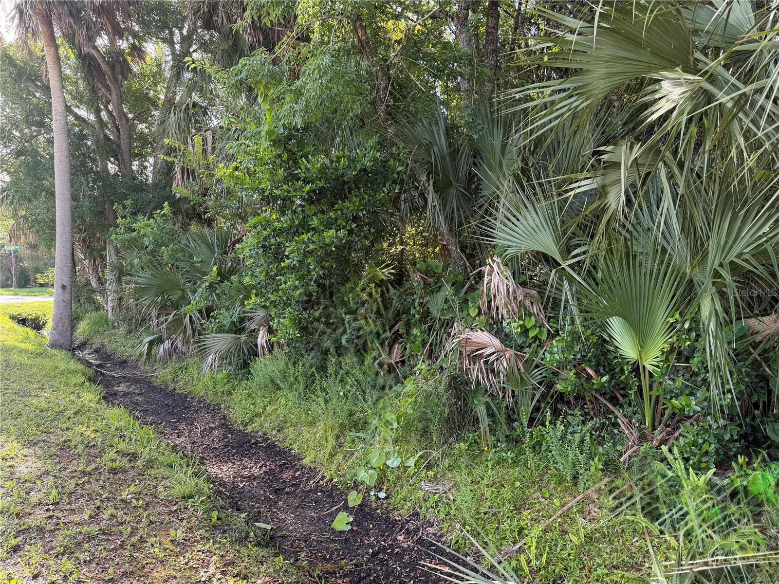 1400 ENTERPRISE AVE, NEW SMYRNA BEACH, FL — photo 3