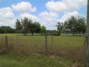 11819 TARPON SPRINGS RD, ODESSA, FL