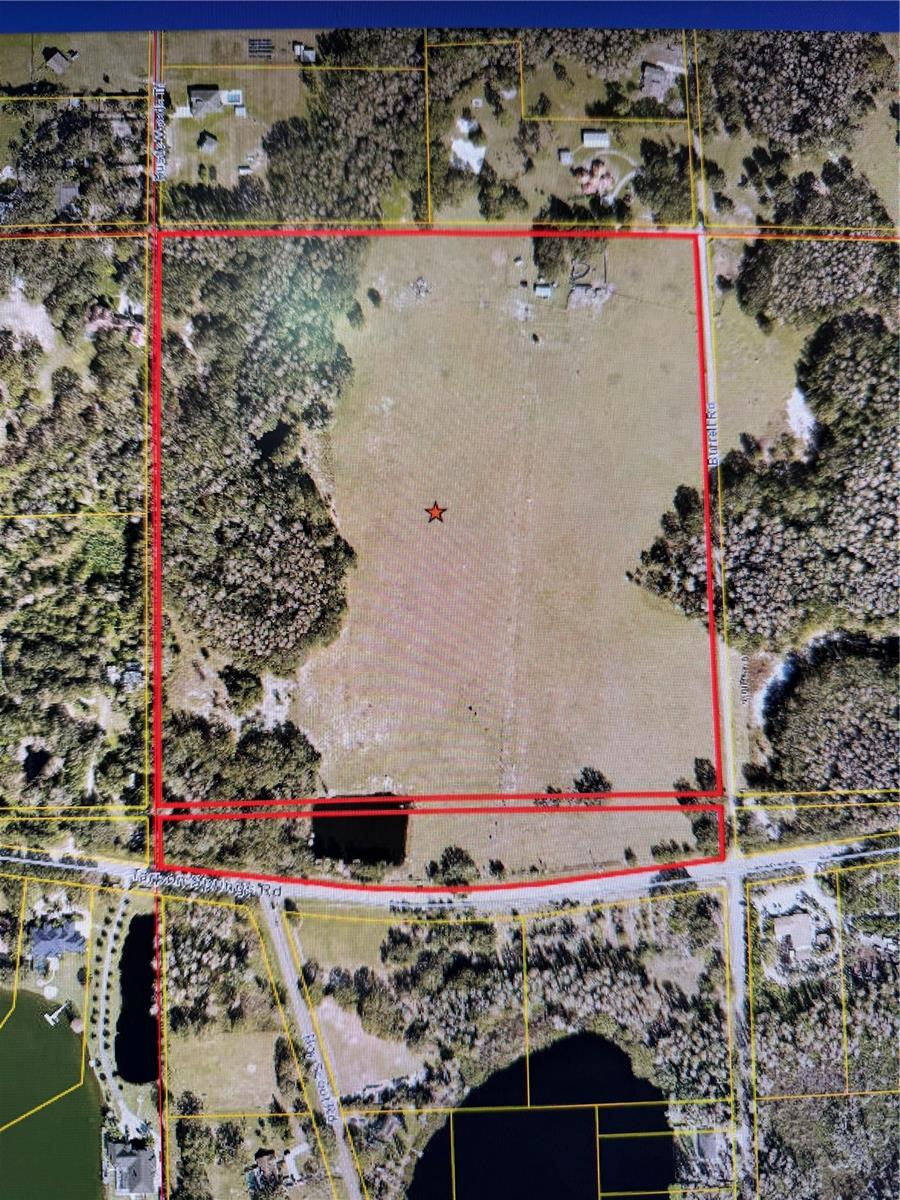 11819 TARPON SPRINGS RD, ODESSA, FL — photo 2