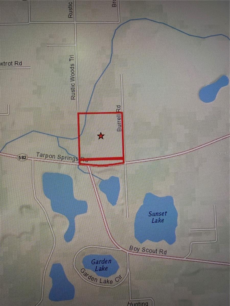 11819 TARPON SPRINGS RD, ODESSA, FL — photo 3