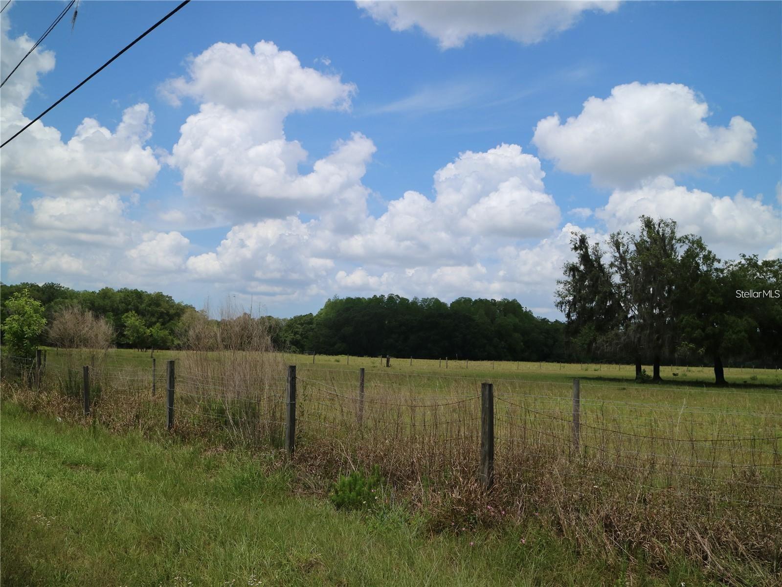 11819 TARPON SPRINGS RD, ODESSA, FL — photo 4