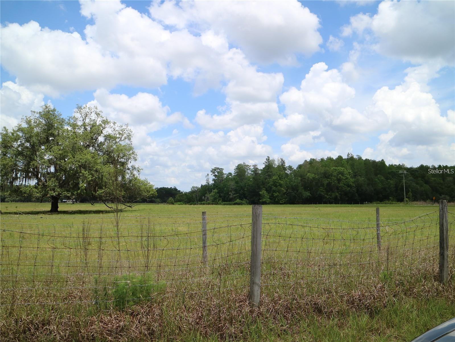11819 TARPON SPRINGS RD, ODESSA, FL — photo 6