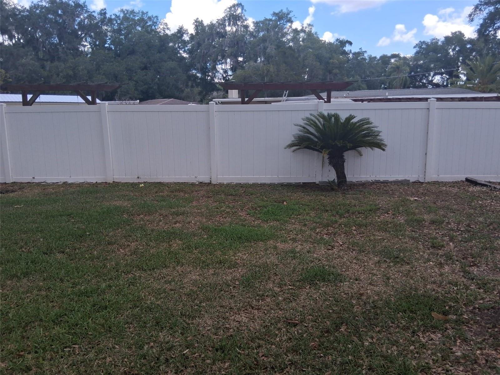 702 COULTER PL, BRANDON, FL — photo 6