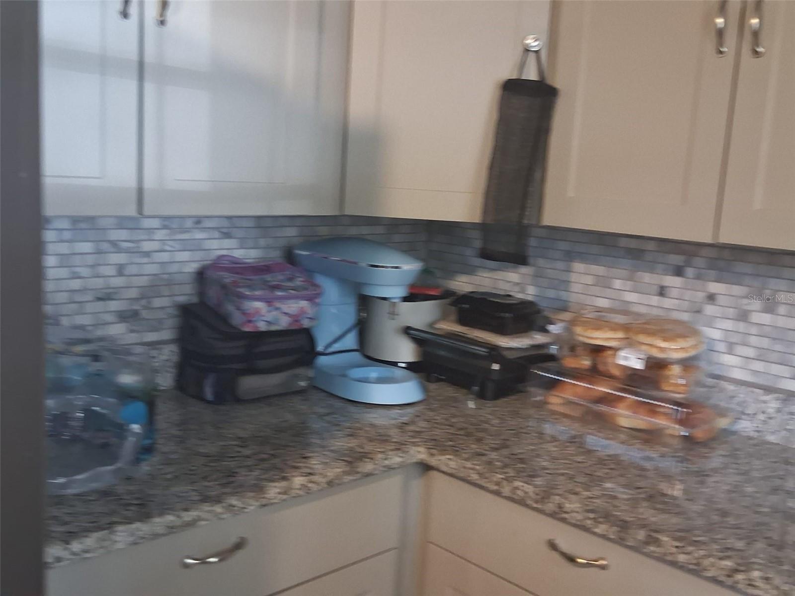 702 COULTER PL, BRANDON, FL — photo 11