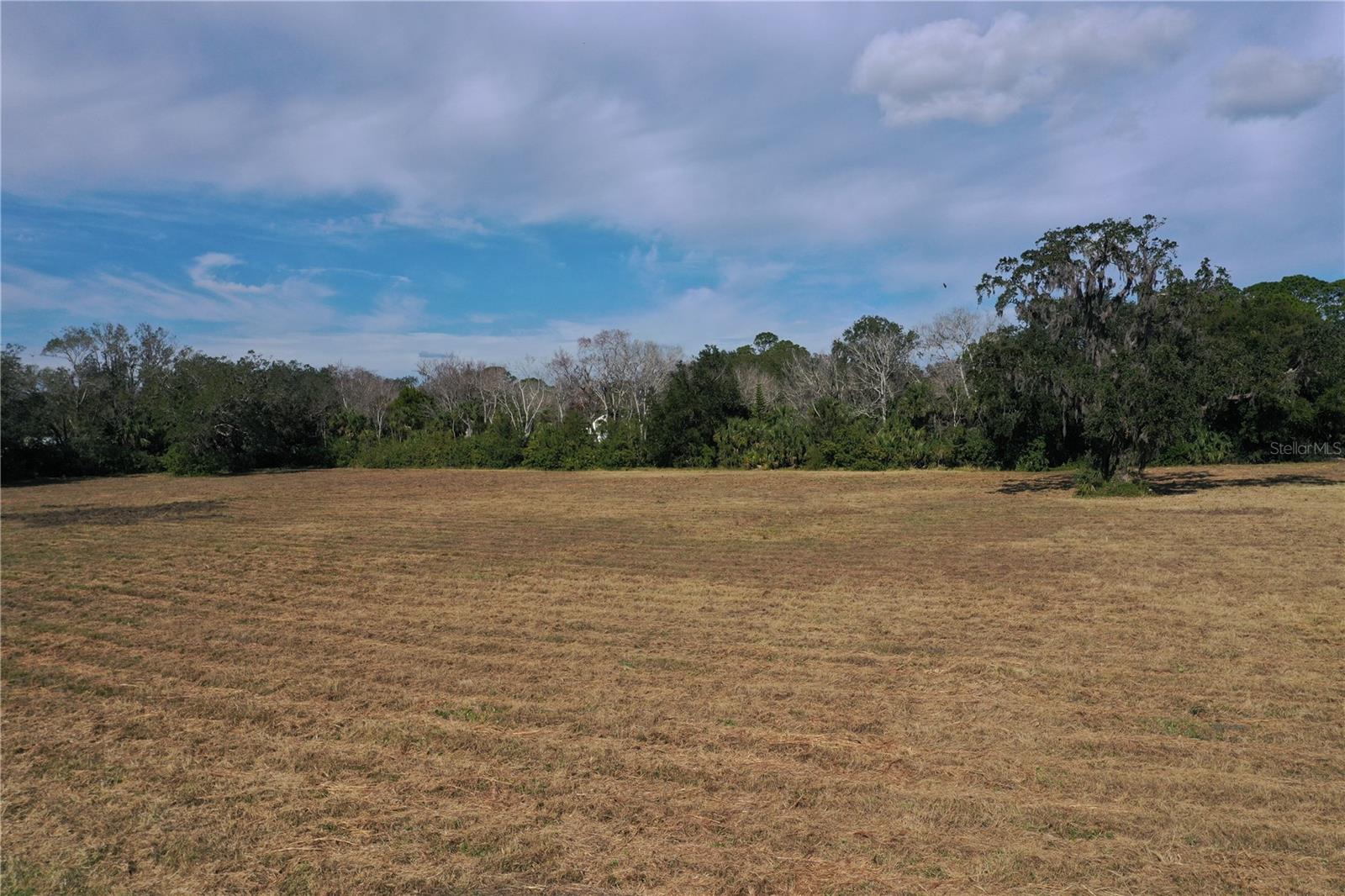 4558 S RIDGEWOOD AVE, EDGEWATER, FL — photo 19