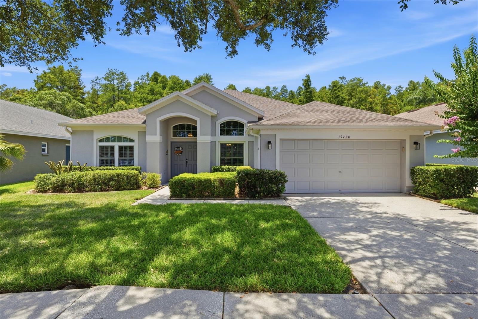 19720 MORDEN BLUSH DR, LUTZ, FL