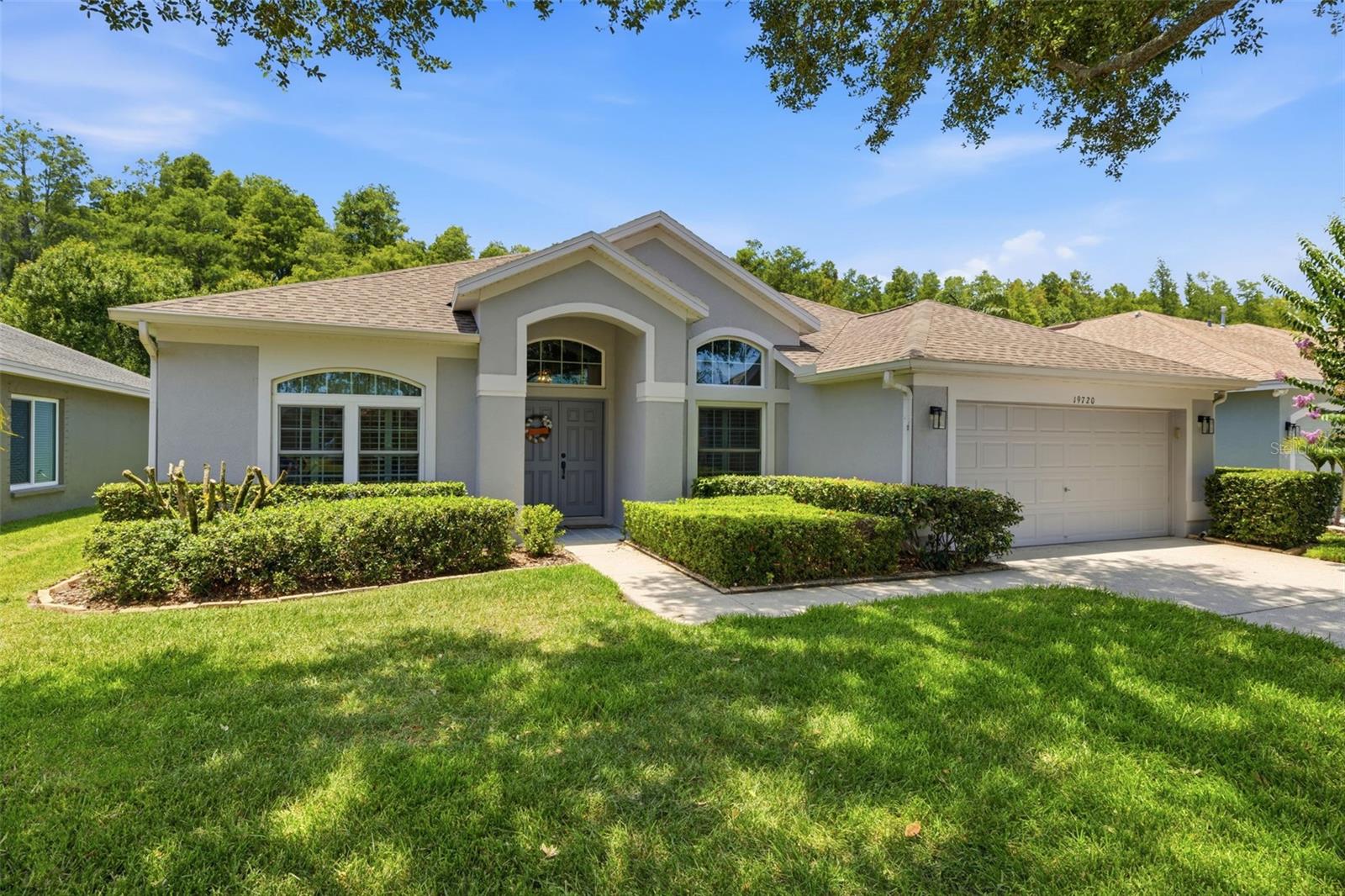 19720 MORDEN BLUSH DR, LUTZ, FL — photo 2