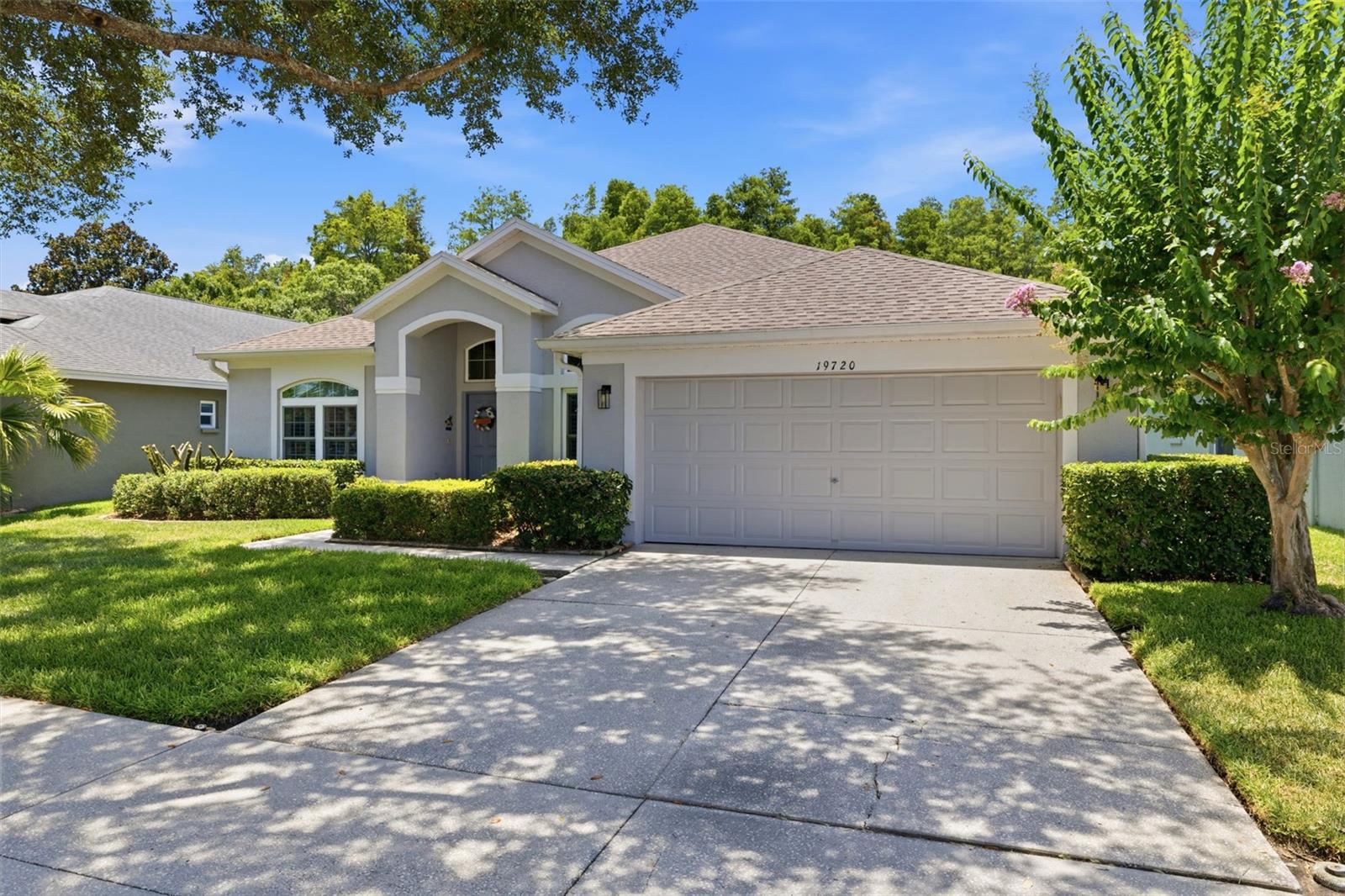 19720 MORDEN BLUSH DR, LUTZ, FL — photo 3