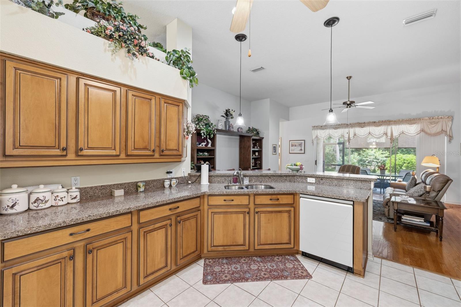 19720 MORDEN BLUSH DR, LUTZ, FL — photo 5