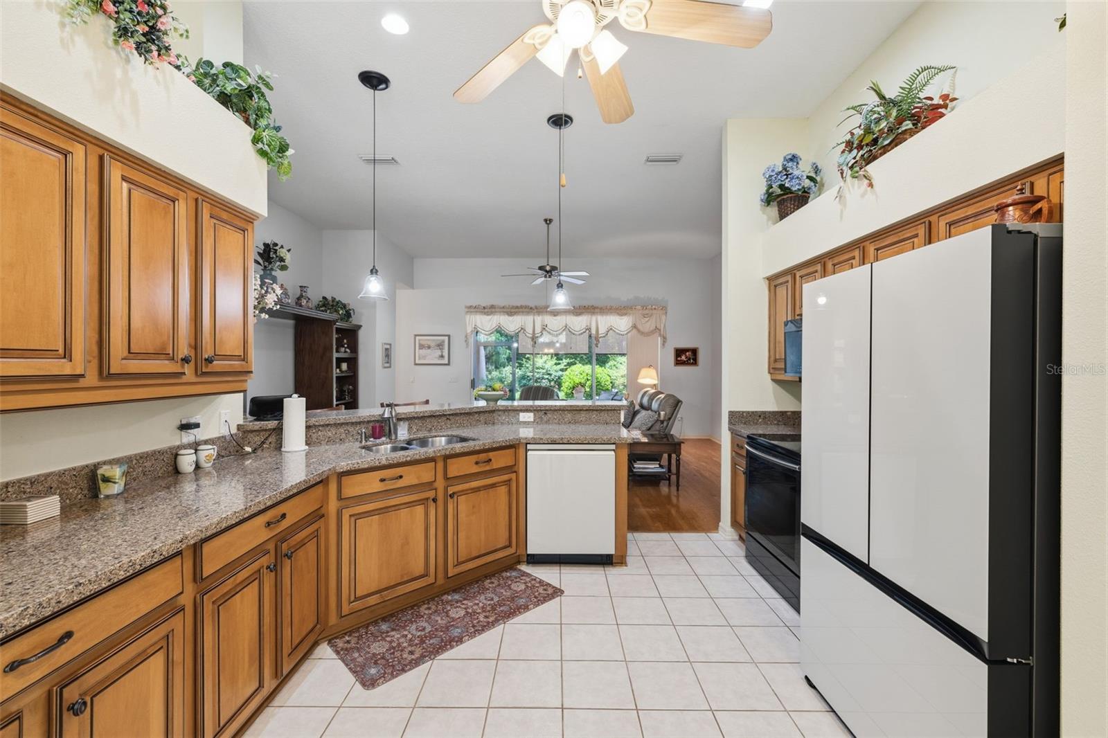19720 MORDEN BLUSH DR, LUTZ, FL — photo 7
