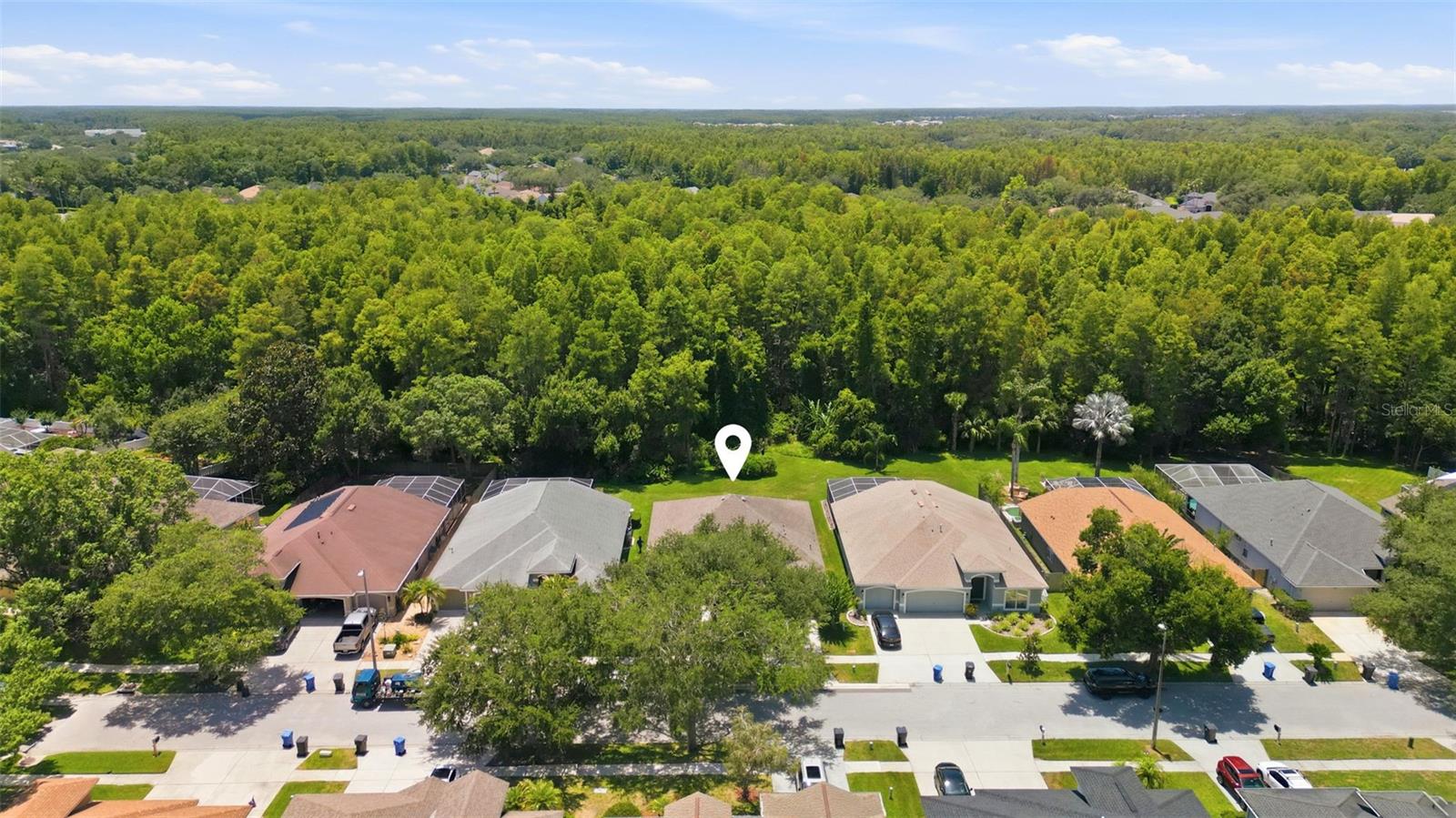 19720 MORDEN BLUSH DR, LUTZ, FL — photo 27
