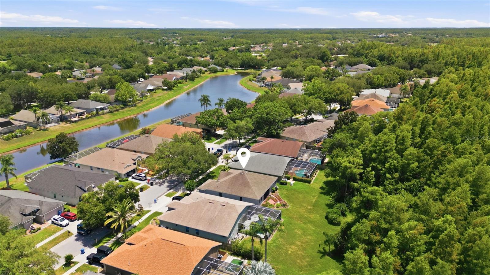 19720 MORDEN BLUSH DR, LUTZ, FL — photo 28
