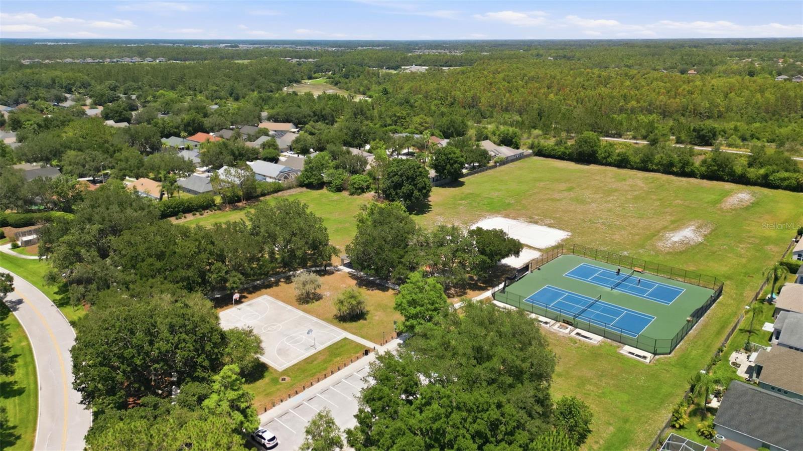 19720 MORDEN BLUSH DR, LUTZ, FL — photo 31