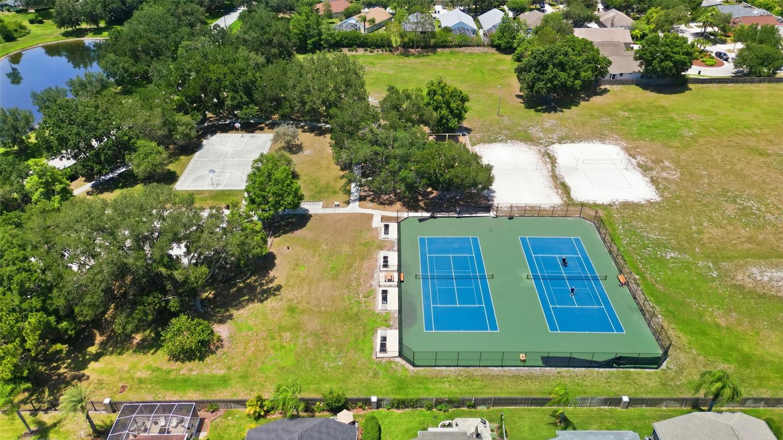 19720 MORDEN BLUSH DR, LUTZ, FL — photo 33