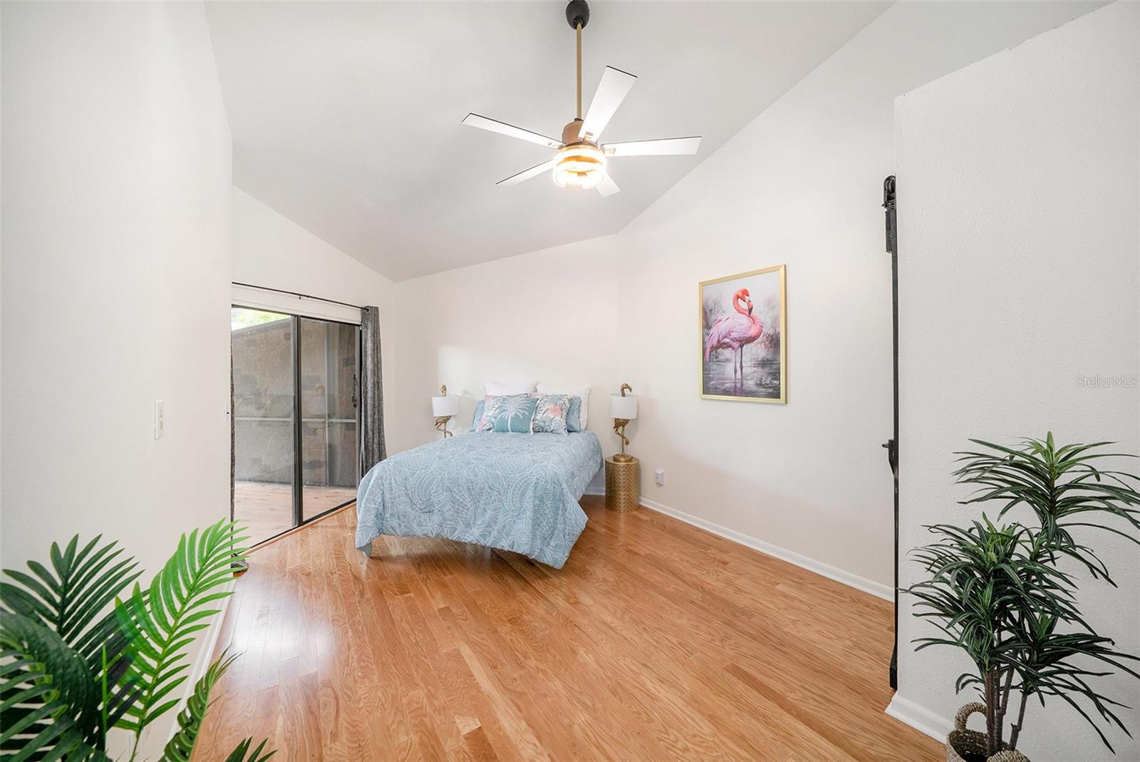 1923 BAYSHORE CT, SAFETY HARBOR, FL — photo 13