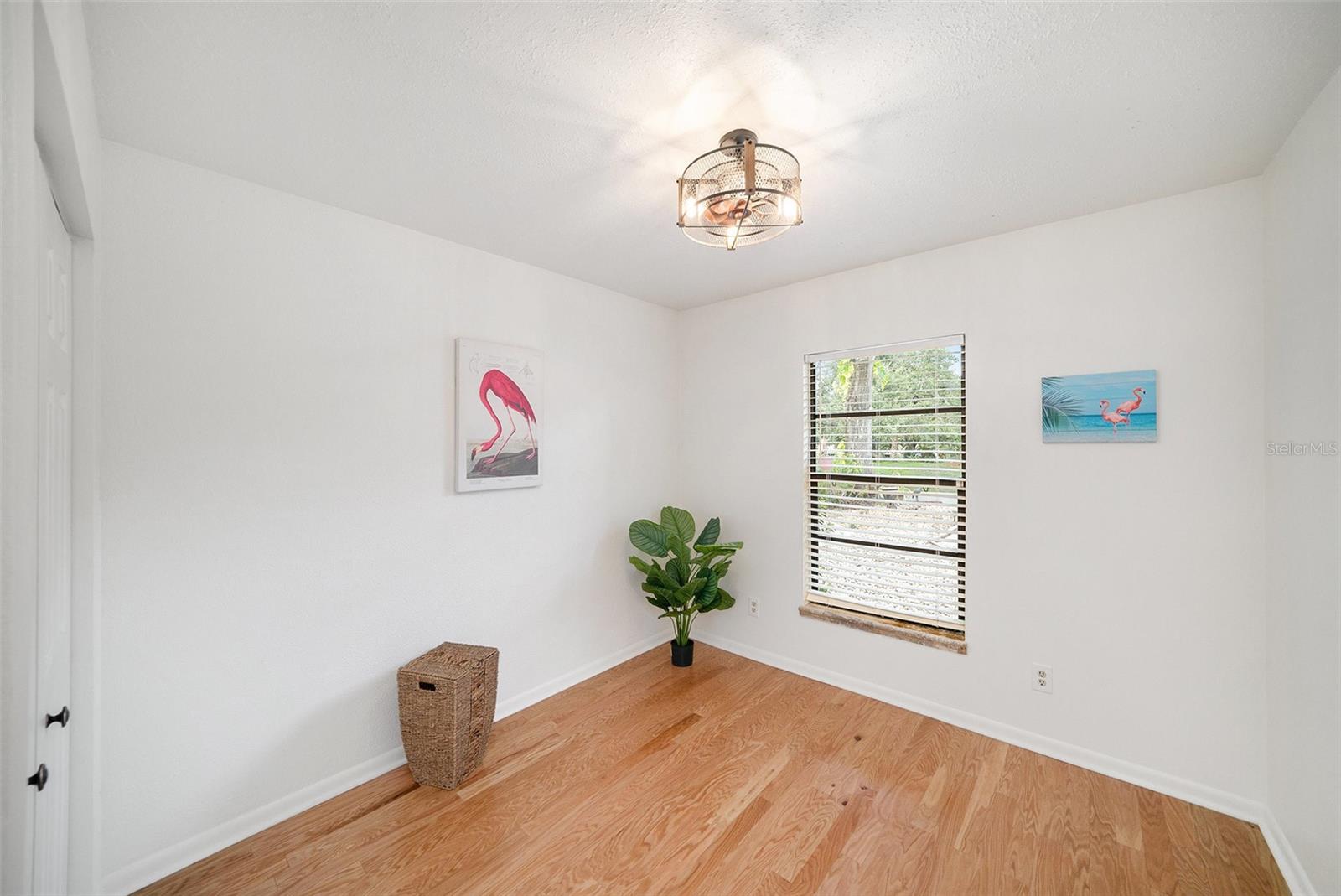 1923 BAYSHORE CT, SAFETY HARBOR, FL — photo 17
