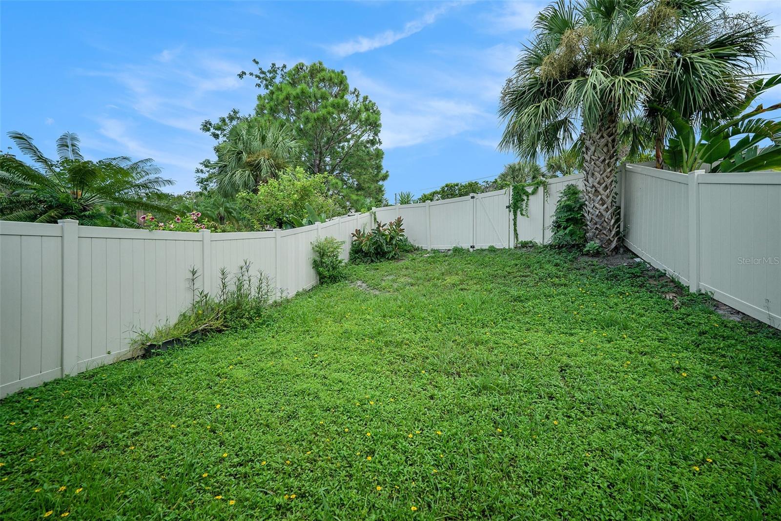 1923 BAYSHORE CT, SAFETY HARBOR, FL — photo 24