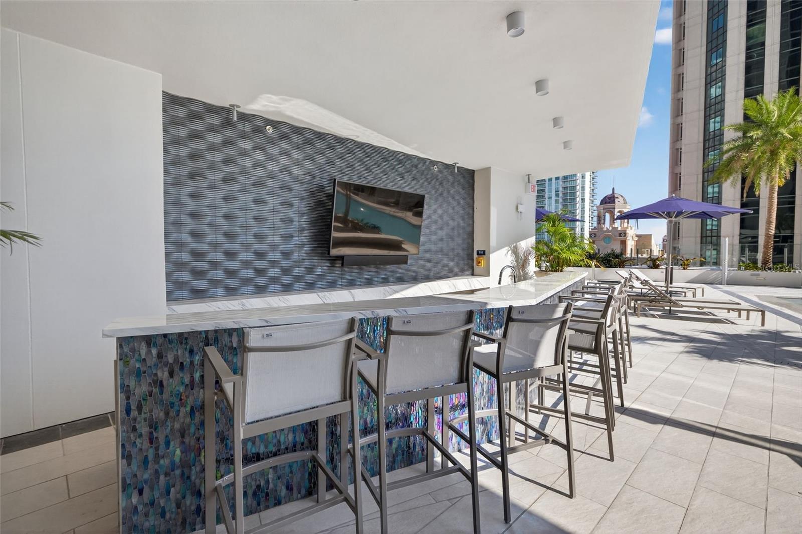 275 1ST AVE S #2706, ST PETERSBURG, FL — photo 95