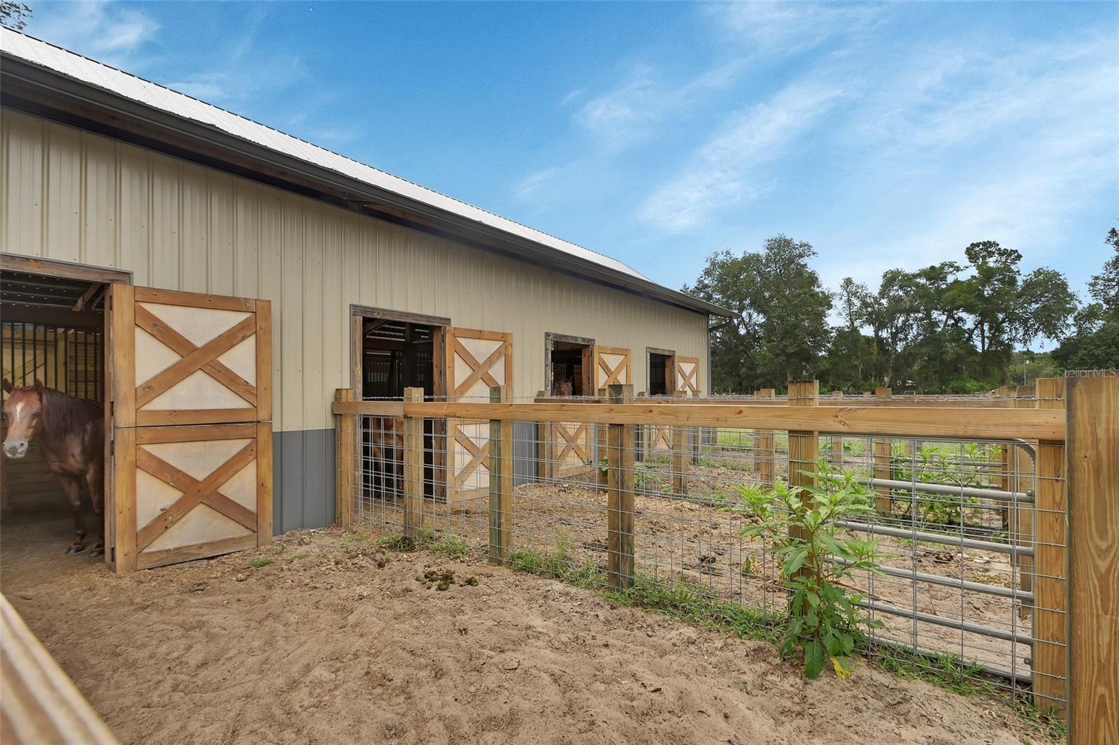 4940 STATE ROAD 11, DE LEON SPRINGS, FL — photo 23