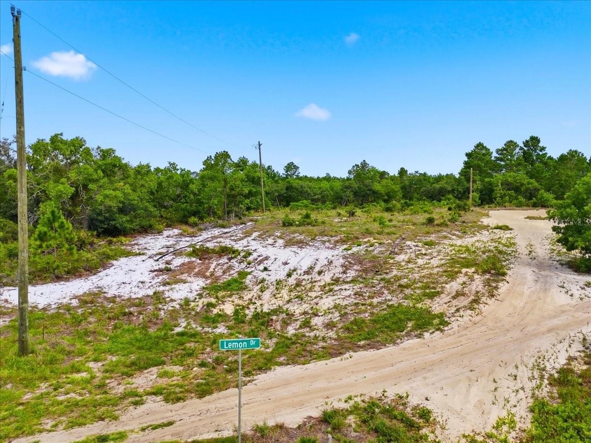 2000 LEMON DR, LAKE WALES, FL — photo 10