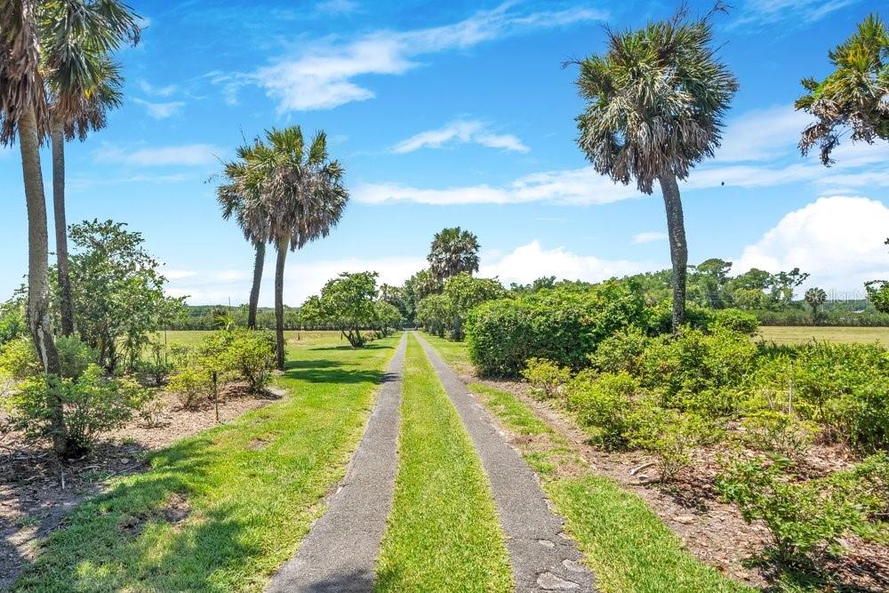 14365 SE HIGHWAY 42, WEIRSDALE, FL — photo 10