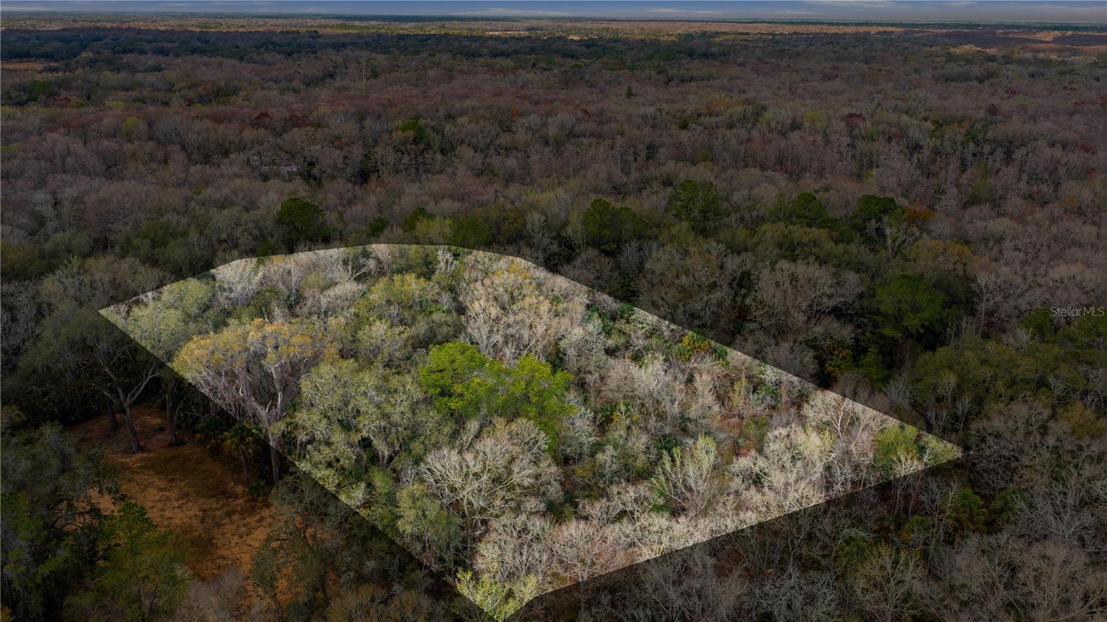 598 S CHAMBERS WAY, INVERNESS, FL