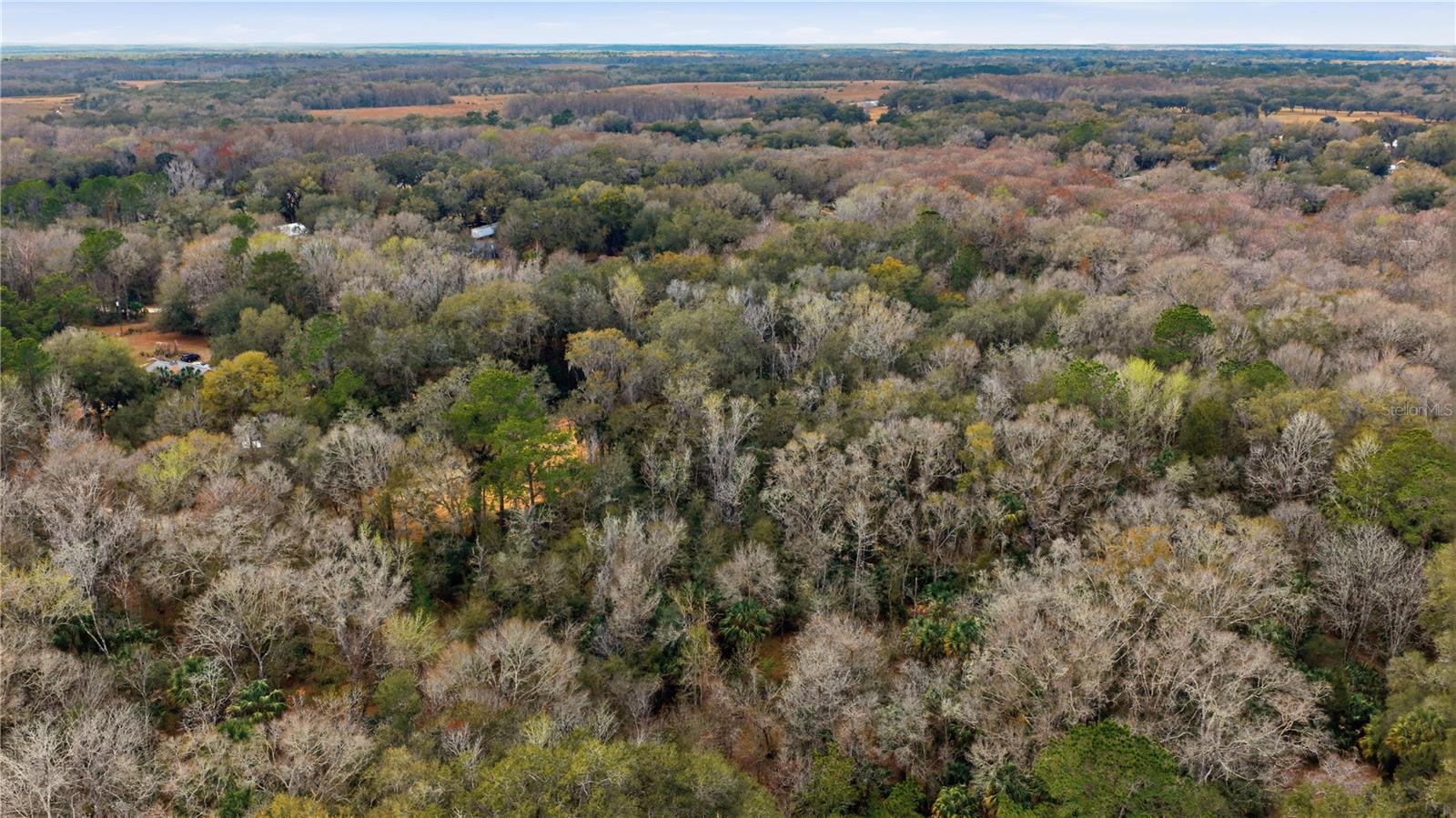 598 S CHAMBERS WAY, INVERNESS, FL — photo 3