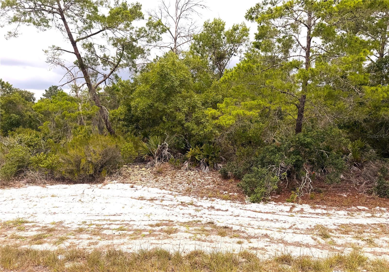 209 COOLIDGE AVE NE, LAKE PLACID, FL