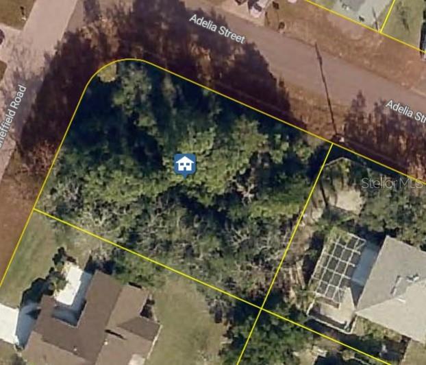 11416 ADELIA ST, SPRING HILL, FL — photo 2