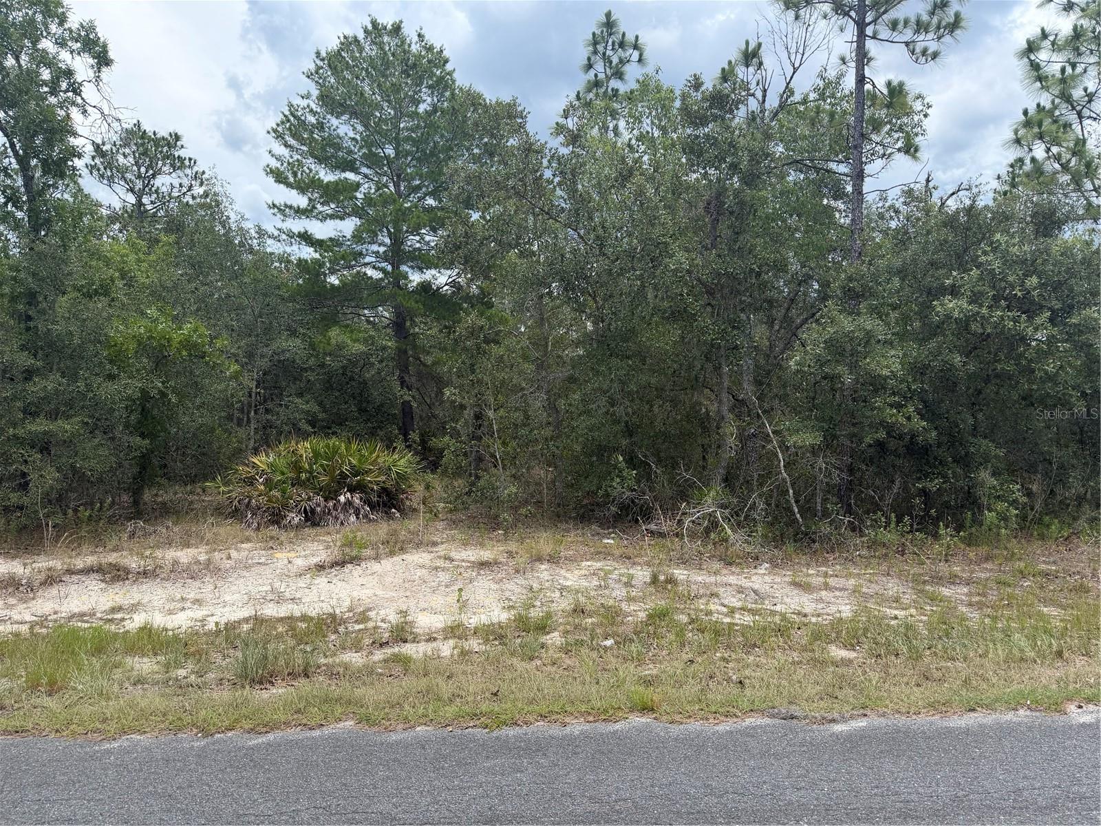 6215 S PREMIERE AVE, HOMOSASSA, FL — photo 3