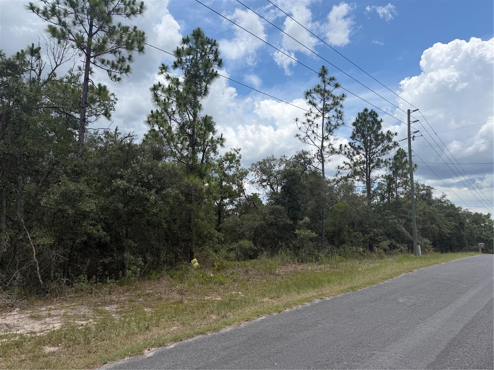 6215 S PREMIERE AVE, HOMOSASSA, FL — photo 4