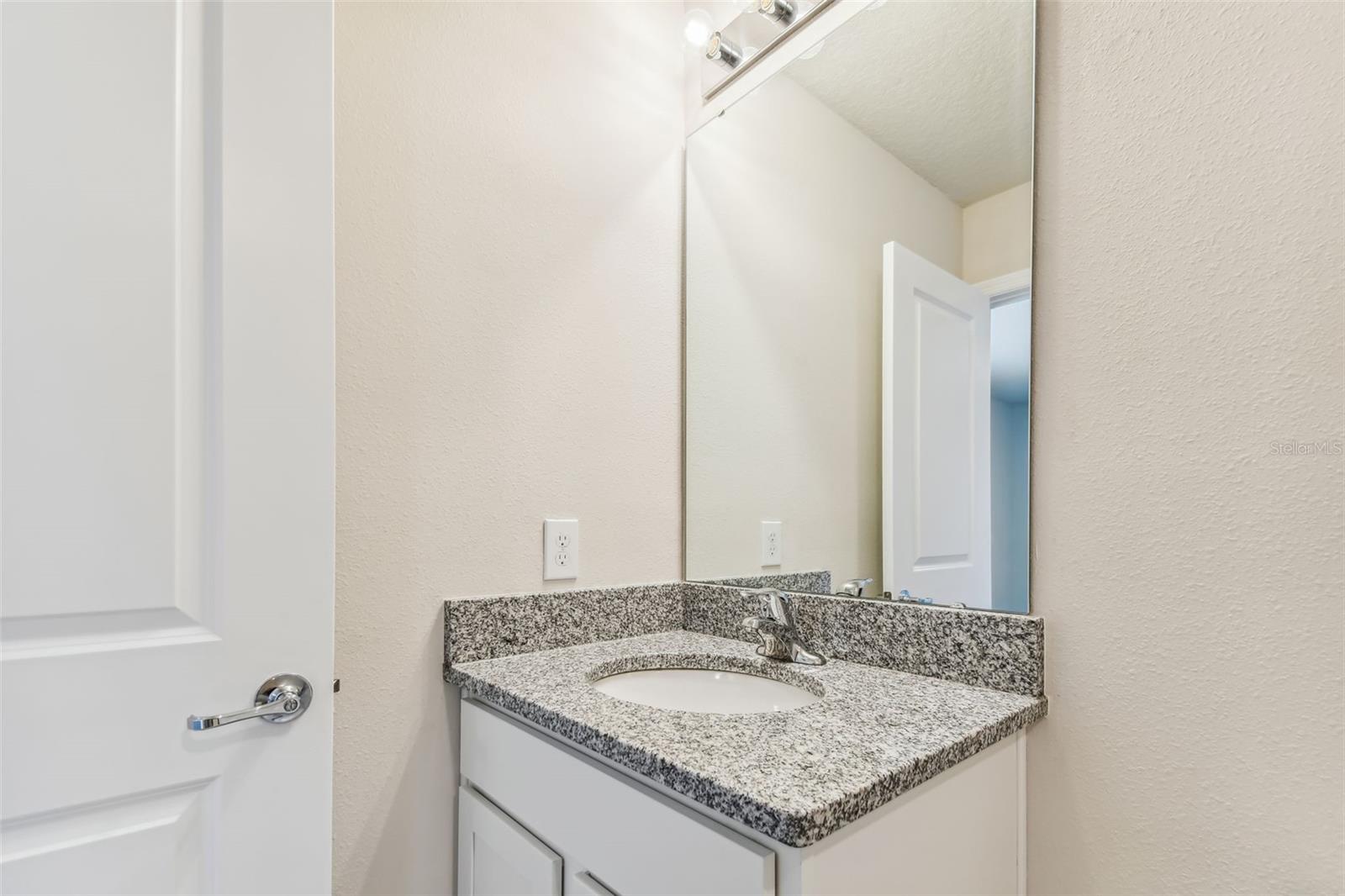 11126 SYCAMORE GLEN LOOP, THONOTOSASSA, FL — photo 19