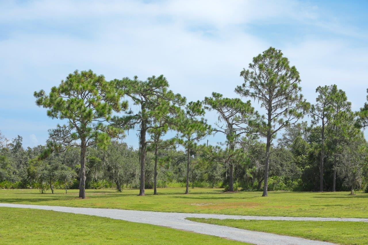 34452 SINGLETARY RD, MYAKKA CITY, FL — photo 21