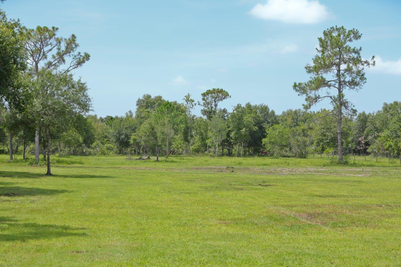 34452 SINGLETARY RD, MYAKKA CITY, FL — photo 22