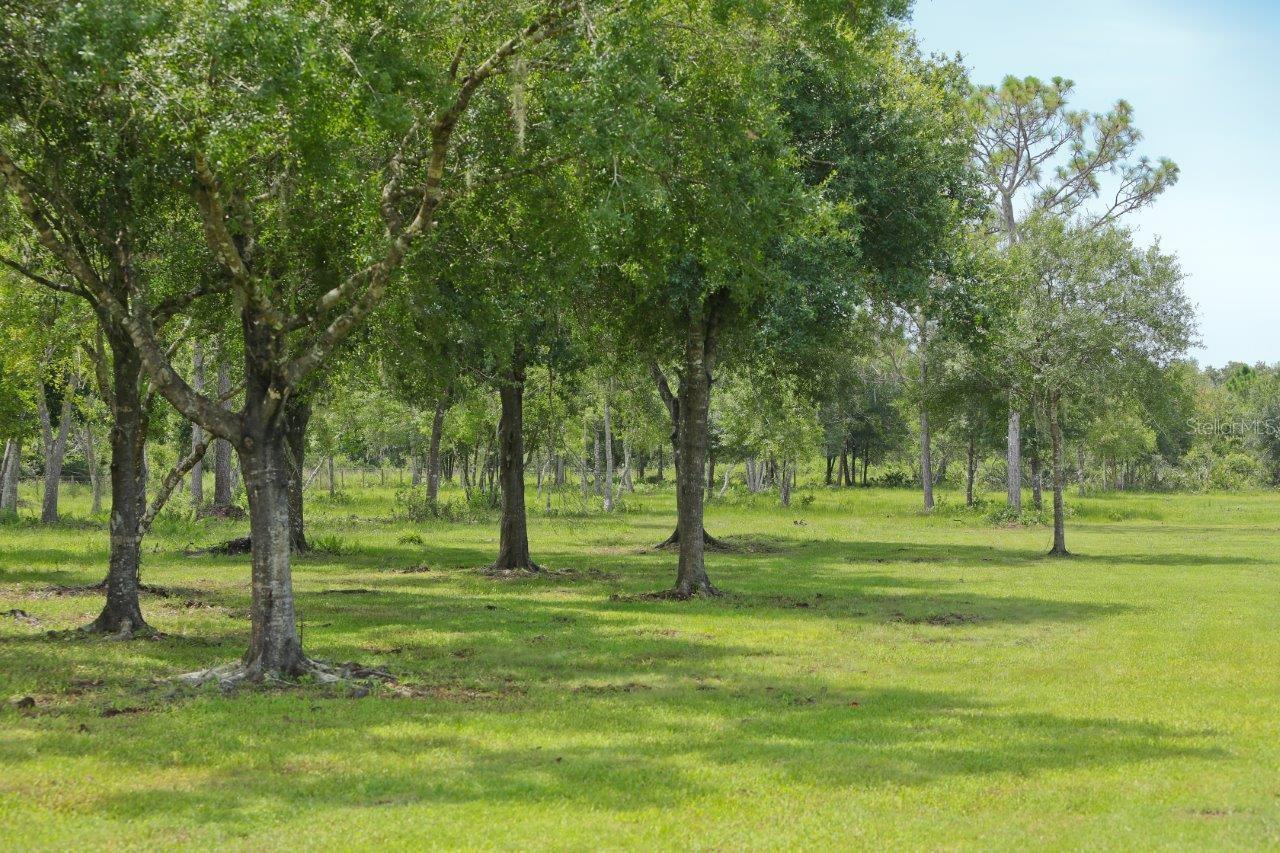 34452 SINGLETARY RD, MYAKKA CITY, FL — photo 23