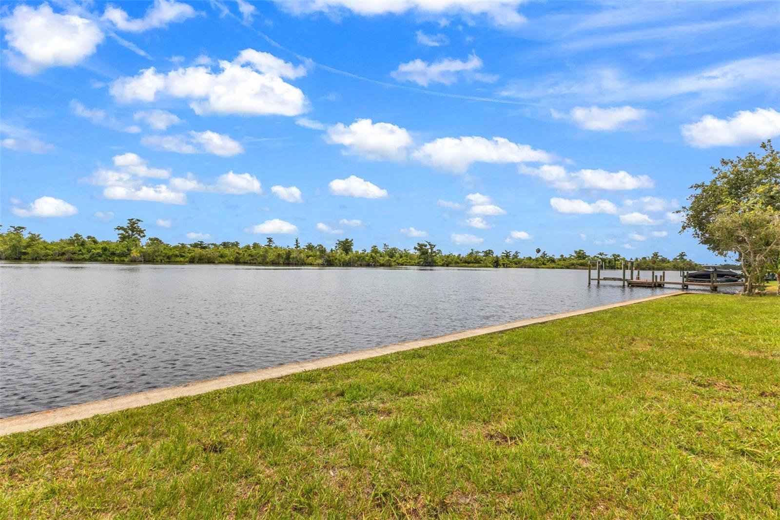 10082 SW RIVERVIEW CIR, ARCADIA, FL — photo 3
