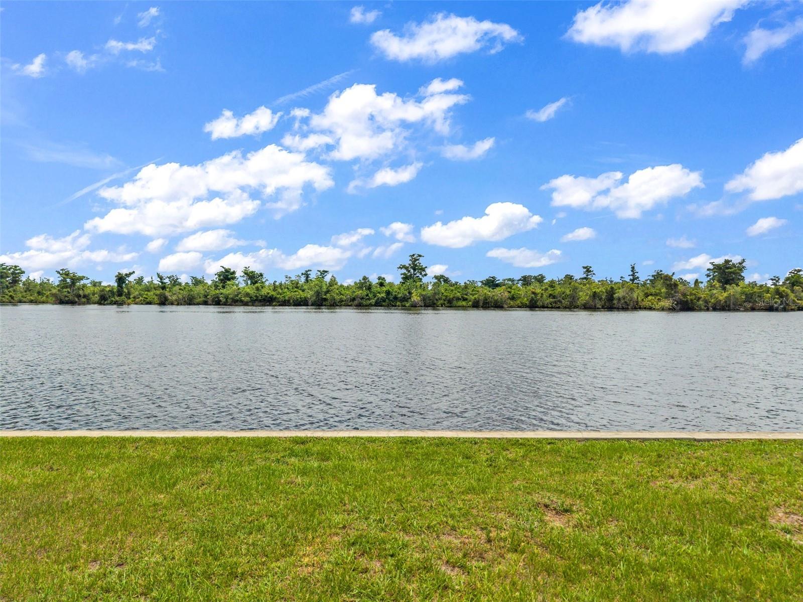 10082 SW RIVERVIEW CIR, ARCADIA, FL — photo 5