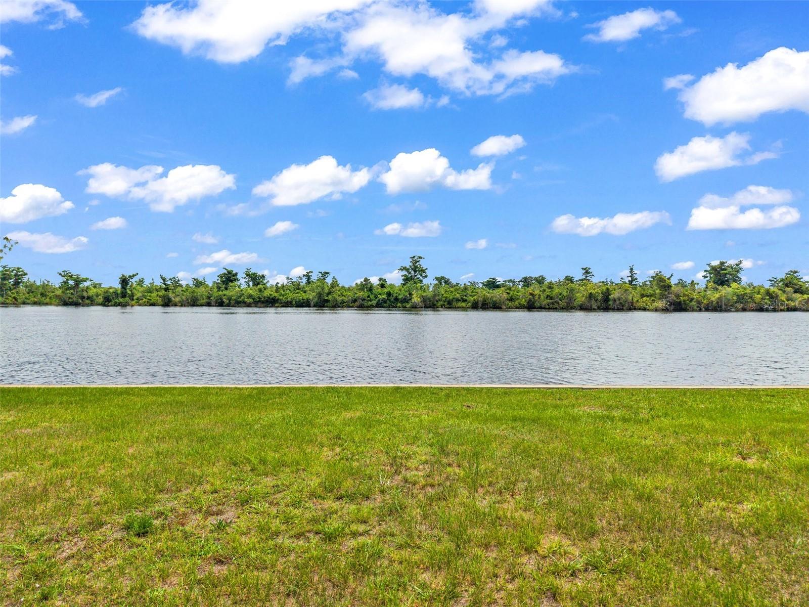 10082 SW RIVERVIEW CIR, ARCADIA, FL — photo 7